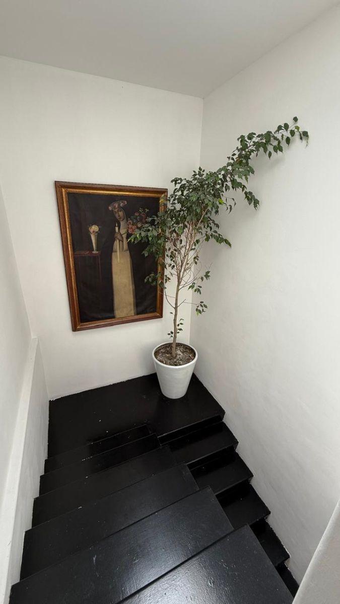 Departamento en Renta en Polanco V Seccion, Masaryk, Miguel Hidalgo — foto 3