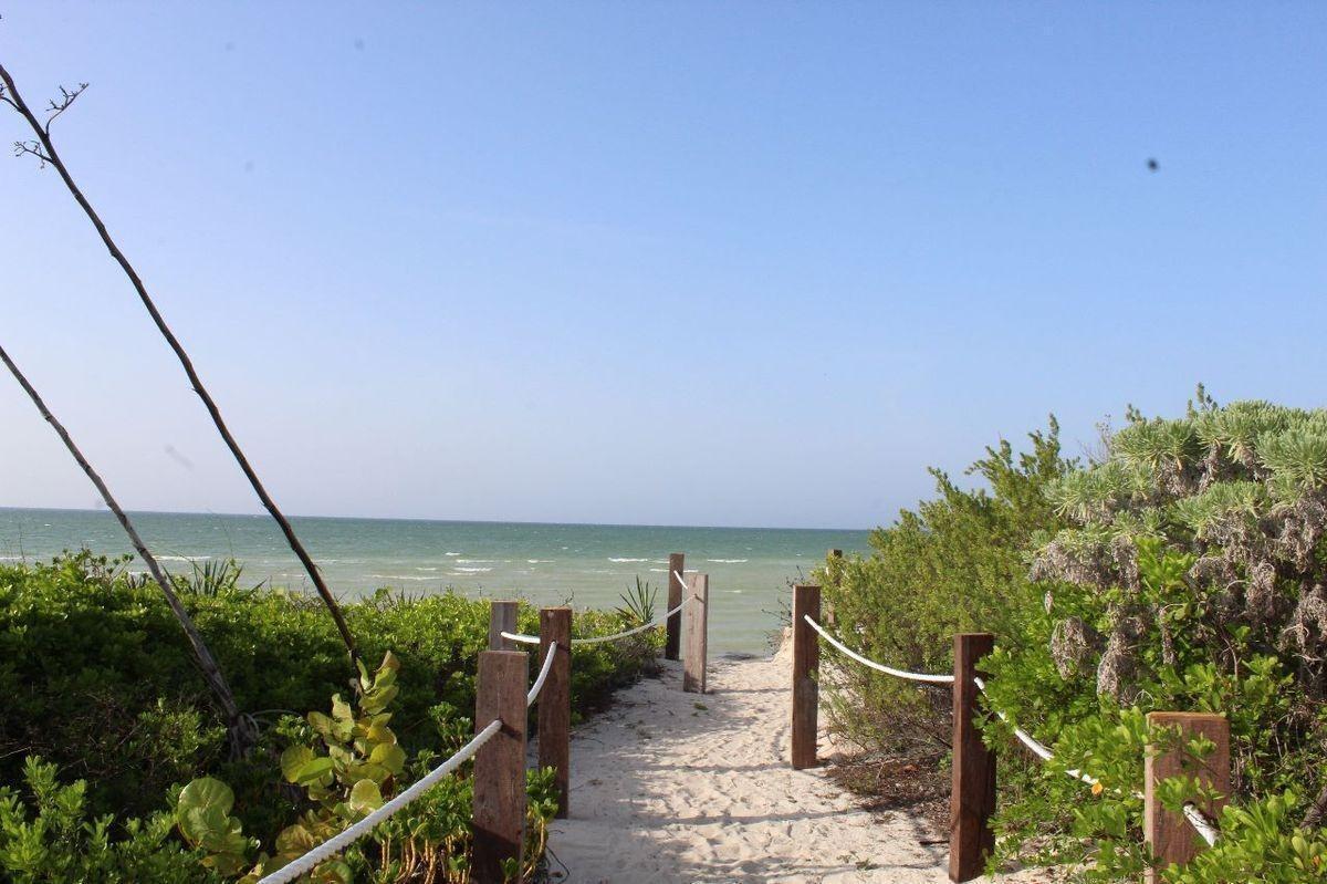 Departamento de Lujo en Venta en La Playa — foto 3